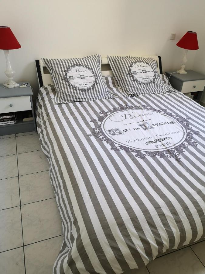 Appartement De 105M2, Balcon Sur Cours De La Republique นาร์บอนน์ ภายนอก รูปภาพ